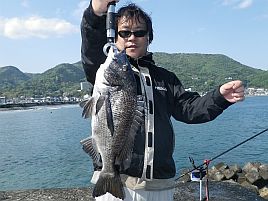 クロダイ：釣魚別インデックス