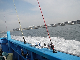 へた釣りさ～ん、月曜それ釣ったらTKB43予選突破ですよ～♪