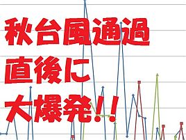 2012年のカワハギ釣況。水温下がる秋台風通過後に大爆発