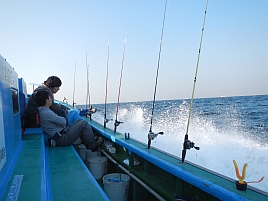 浮気者には釣られてあげない!!とカワハギがすねた。愛いヤツｗ