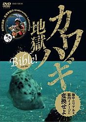 今更ながら「カワハギ地獄Bible」DVDを見て目から鱗がぁ!!