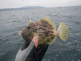 釣り人の不幸は寒い、釣れない、気持ち悪いの順にやってくる