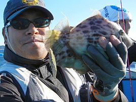 大型カワハギを狙って釣る方法…達人さんからの聞き書き