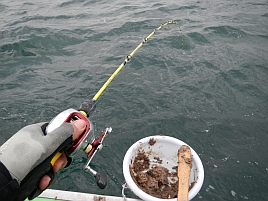 折れた竿とサメを持ってしょぼーん(´･ω･`)な東京湾の釣り納め