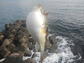 年末年始伊豆合宿 いろいろやった。でもどれもあかんかった