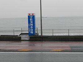年末年始伊豆合宿 さぁ～て自分のご飯を釣りに行くか…雨!!!