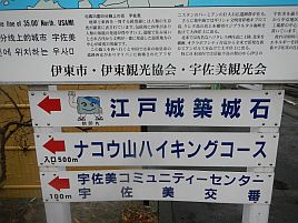 年末年始伊豆合宿 さぁ～て自分のご飯を釣りに行くか…雨!!!