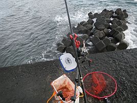 年末年始伊豆合宿 小春日和なのに…風強すぎてあか～～～ん!!