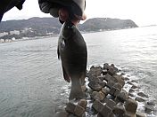 年末年始伊豆合宿 小春日和なのに…風強すぎてあか～～～ん!!