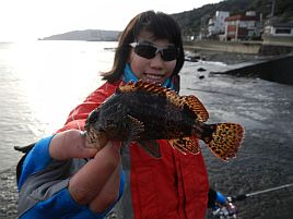 年末年始伊豆合宿 2012年釣り納めは子供カサゴ早掛け対決