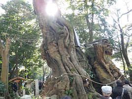 年末年始伊豆合宿 お節に舌鼓。初詣で酒難除けと大漁祈願