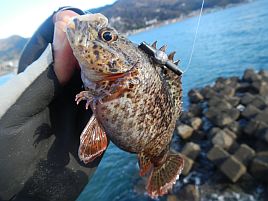 年末年始伊豆合宿 日の出とともに出撃するも標的見えず帰投