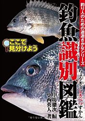 この魚…タケノコメバル？　Kindle版「釣魚識別図鑑」買おう!!