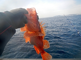 東京湾初釣り2013は鬼退治。40センチ×2匹でどや顔全開だ!!