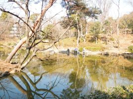 COOLPIX＋偏光フィルターのお試しに公園の池で撮影会だ