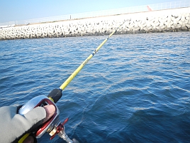 東京湾のメバルの釣り方のコツと来年の課題をまとめておく