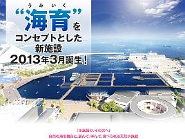 春休みは子供と一緒に八景島の「うみファーム」に行きたい