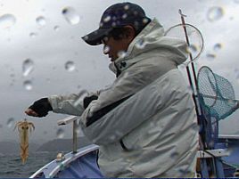 THE FISHINGでマルイカ釣りを見て触手がウネウネしちゃう