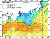 関東・東海海況速報