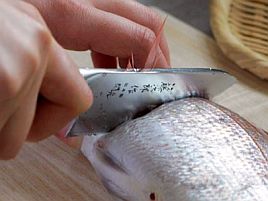 わずか500円で魚のやさしいさばき方が動画で勉強できる!!