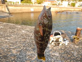 GW伊豆合宿　ツイてないを通り越して呪われてる気がする