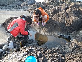 GW伊豆合宿　エビ22匹の捕獲成功。ウミウシはかわいい？