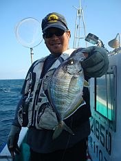 カイワリ：釣魚別インデックス