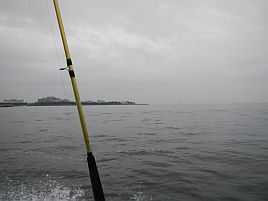 入梅だぁ…雨の日の釣りで忘れてはいけないことをメモする