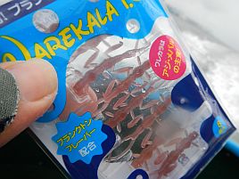 「WAREKALA」というルアーがなんだか釣れそうな気がする