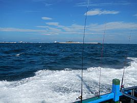 東京湾二大癒し系釣魚、LTアジ＆シロギスで( ＾ω＾ )ﾆｺﾆｺ