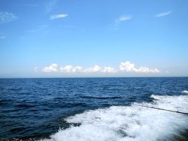 東京湾二大癒し系釣魚、LTアジ＆シロギスで( ＾ω＾ )ﾆｺﾆｺ