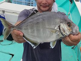 うわぁぁあ!! カイワリ釣りに行きてぇ～…でも行けねぇ～orz