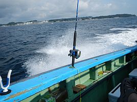 3年越しの悲願達成！ 剣崎沖の尺イサキ釣ったどぉぉお!! 