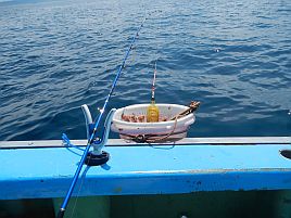ウィリー：釣法別インデックス