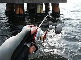 かみや一LTアジ釣りが下手な男に……ほんまになったかも