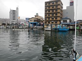 何ともならない。今年もアサリの剥き身汁で顔洗って出直し