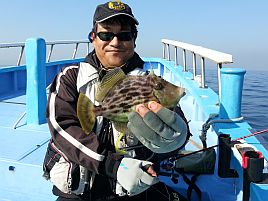 ベラを釣っても一人…KFCのアオリ船でお一人様カワハギ♪