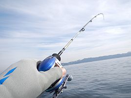 リアランサーLTアジでカワハギを釣ったらどんな具合かな？