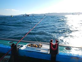 竹岡のカワハギは冷たい？　ぎりぎりツ抜けでグレちゃうぞ