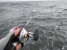 2013年の釣り納めはボウズは嫌なので半日LTアジかなぁ？