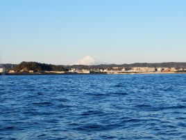 終わりまでできすぎだ。釣り納め2013は半日船でアジ71匹♪