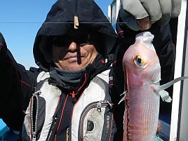 アマダイが来たぞぉ～♪　東京湾にて狼中年と化してしまう