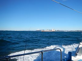 アマダイが来たぞぉ～♪　東京湾にて狼中年と化してしまう