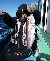 アマダイが来たぞぉ～♪　東京湾にて狼中年と化してしまう