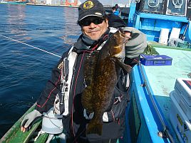 北海道では下魚扱い…東京湾では高級魚♪になるアイナメ