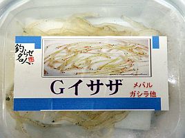 カサゴ釣り大会か～。特餌になるらしいゴリの正体って…