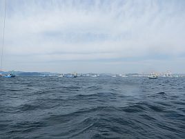 沖のウィリー五目改めメバル諦めイシモチに慰められたよ