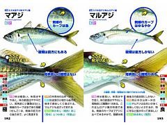 釣る！　覚える!!　食う!!!　釣魚おたく向けの図鑑3冊を紹介