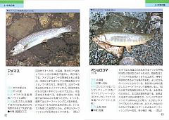 釣る！　覚える!!　食う!!!　釣魚おたく向けの図鑑3冊を紹介