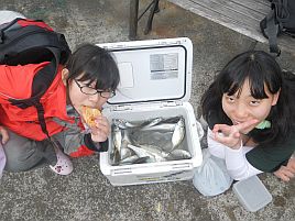 子供の日はLTアジで100匹目指して頑張った…でも、81匹♪